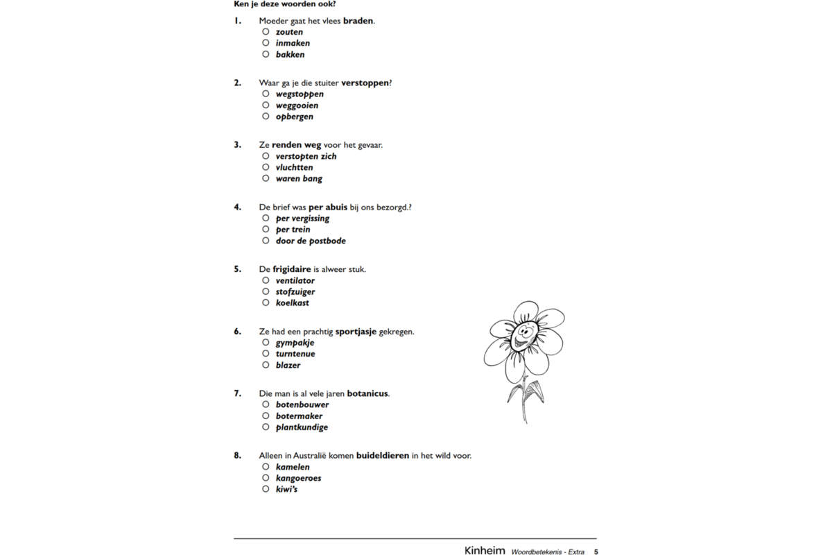 Woordbetekenis Extra (5 stuks)
