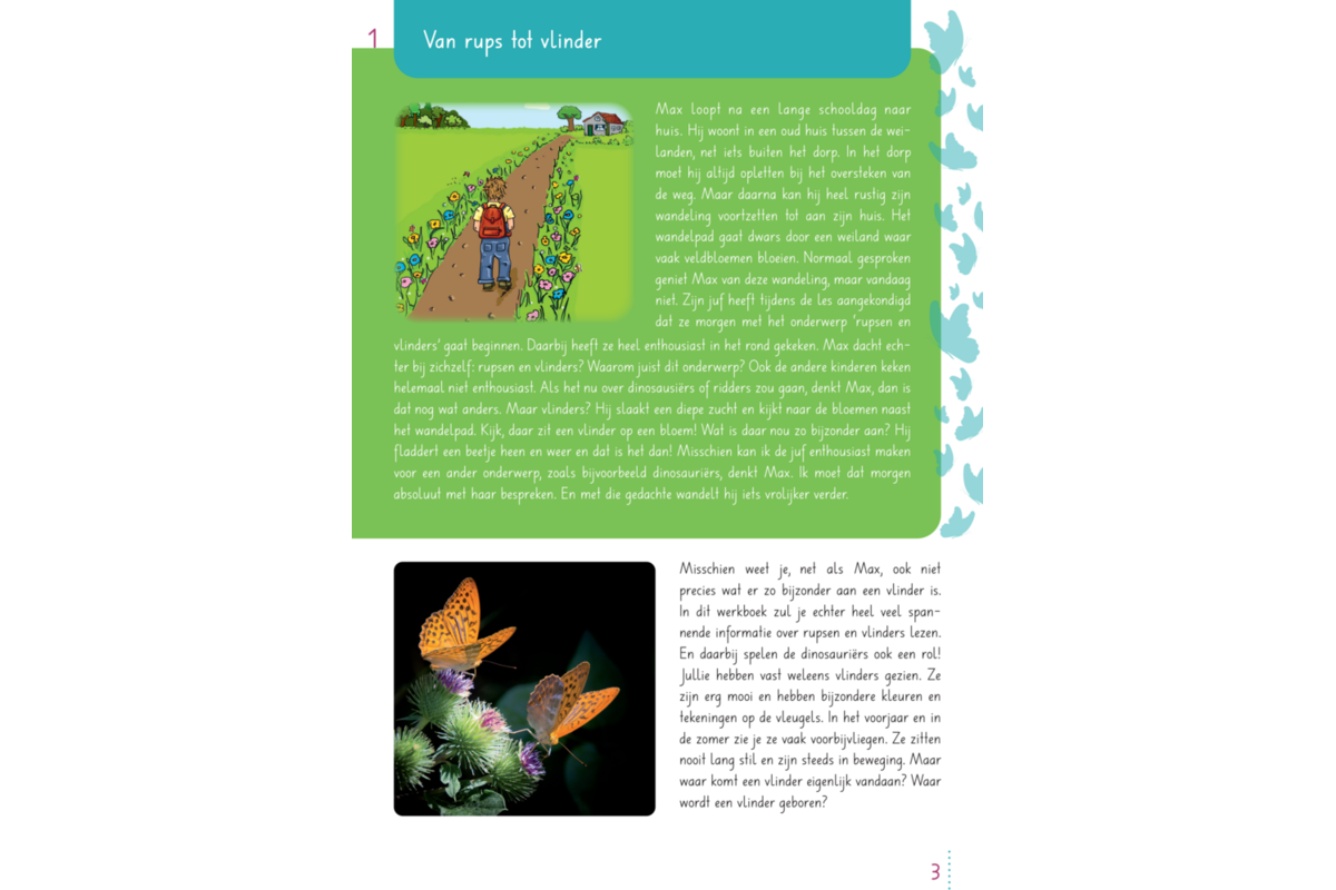 Max en de ongelofelijke reis van de vlinder groep 3-5 werkboek (5 stuks)