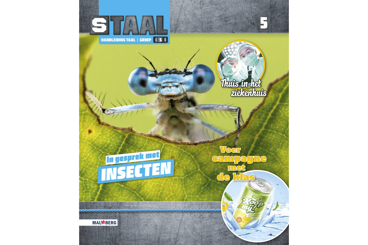 Staal 2 Taal groep 5 handleiding