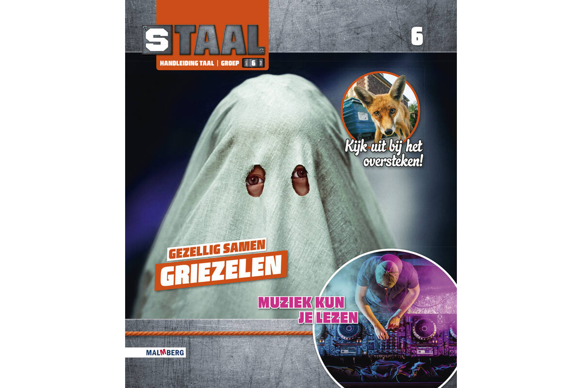 Staal 2 Taal groep 6 handleiding