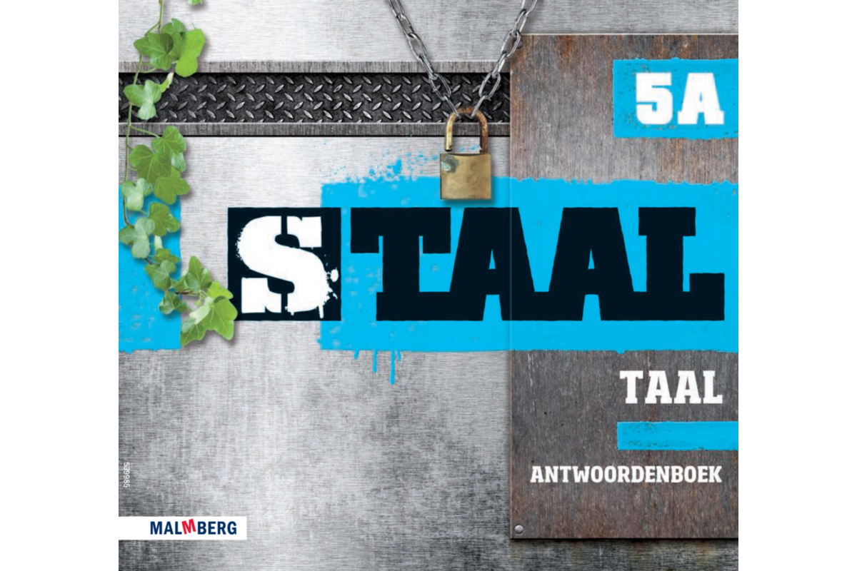 Staal taal groep 5 antwoordenboek