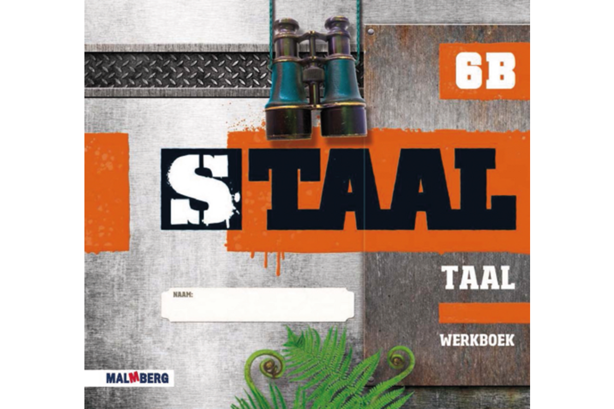 Staal taal groep 6 werkboek B (5 stuks)