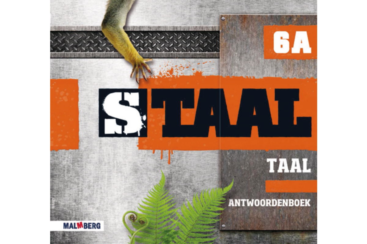 Staal taal groep 6 antwoordenboek