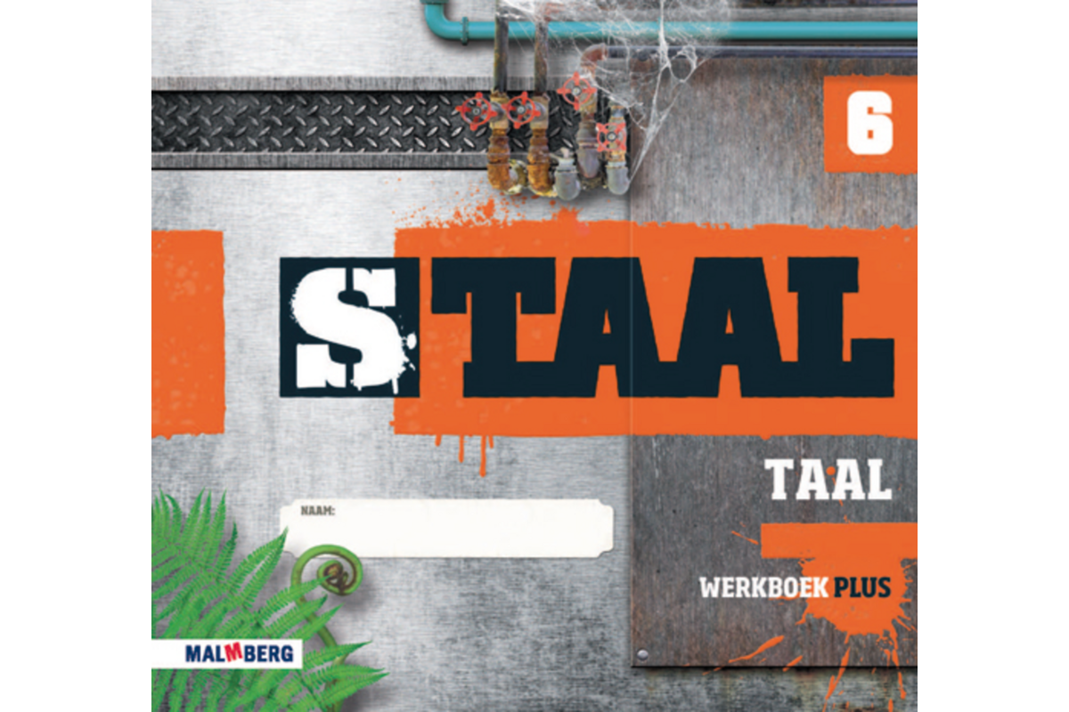 Staal taal Plus groep 6 werkboek