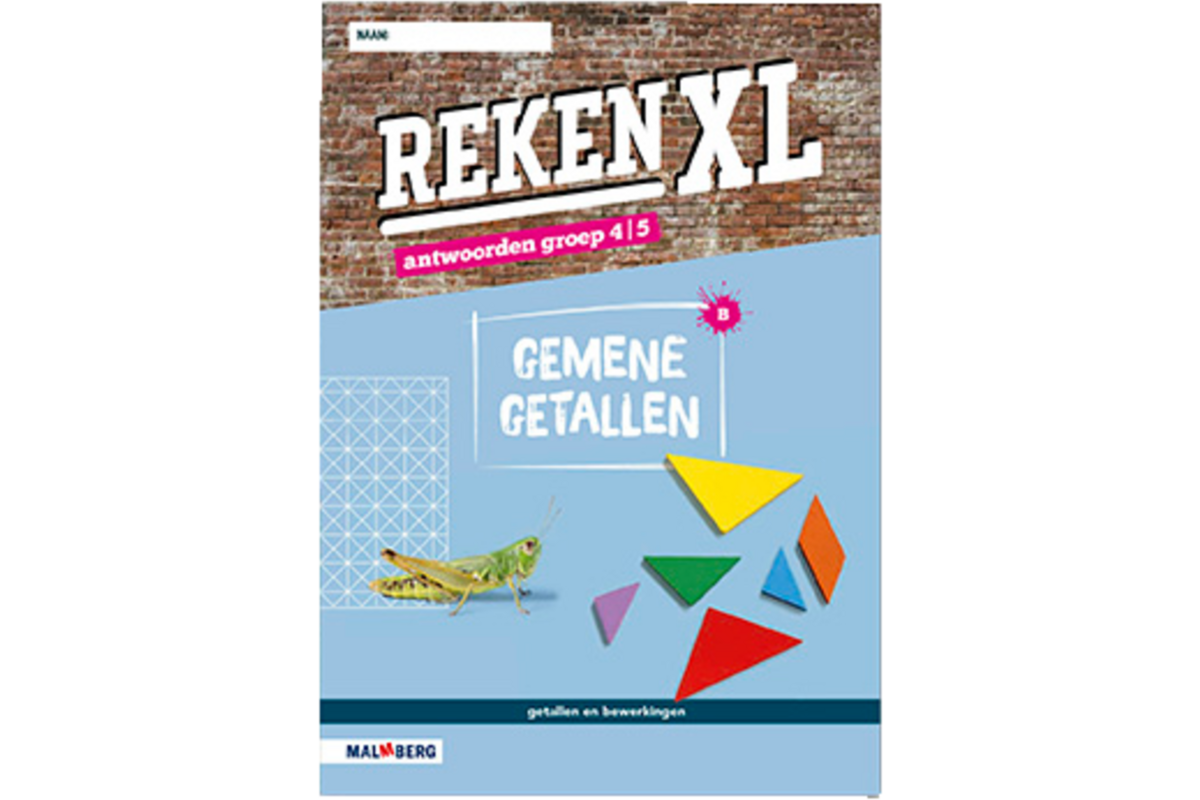 RekenXL antwoordenboek Gemene getallen/Balans groep 4/5 B
