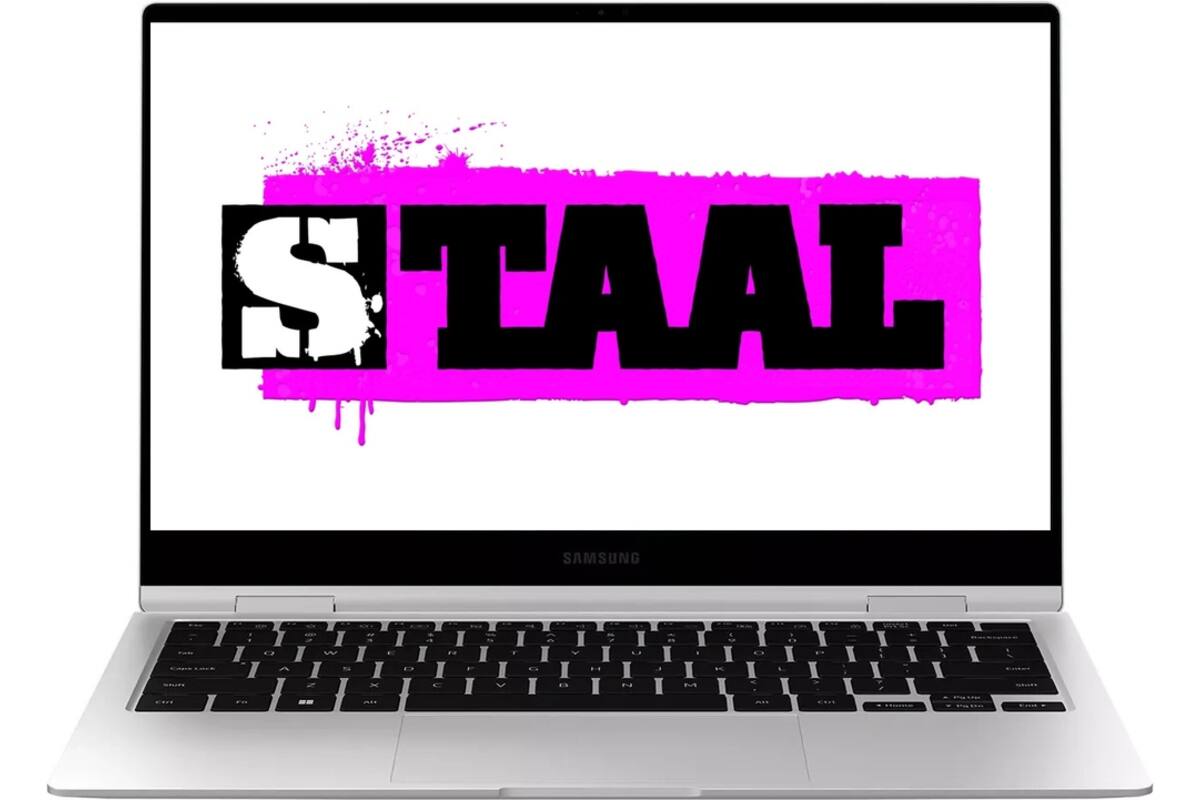 Staal Taal toetssoftware groep 4 (per kind)
