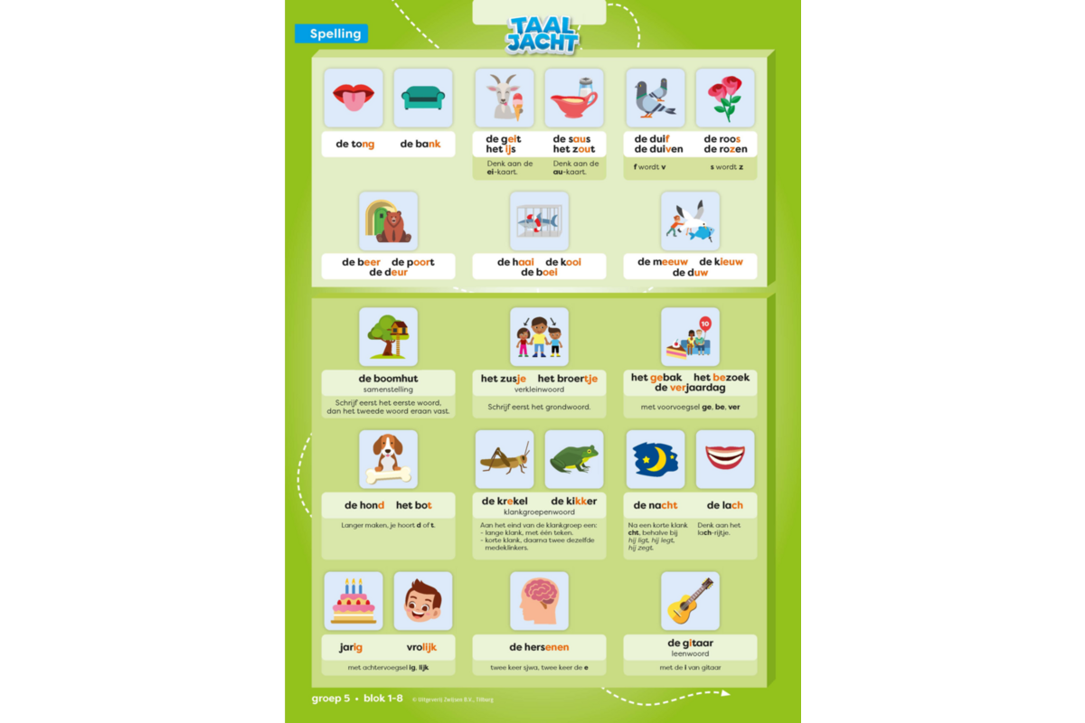 Taaljacht Spelling & grammatica groep 5 categoriekaarten (5 stuks)
