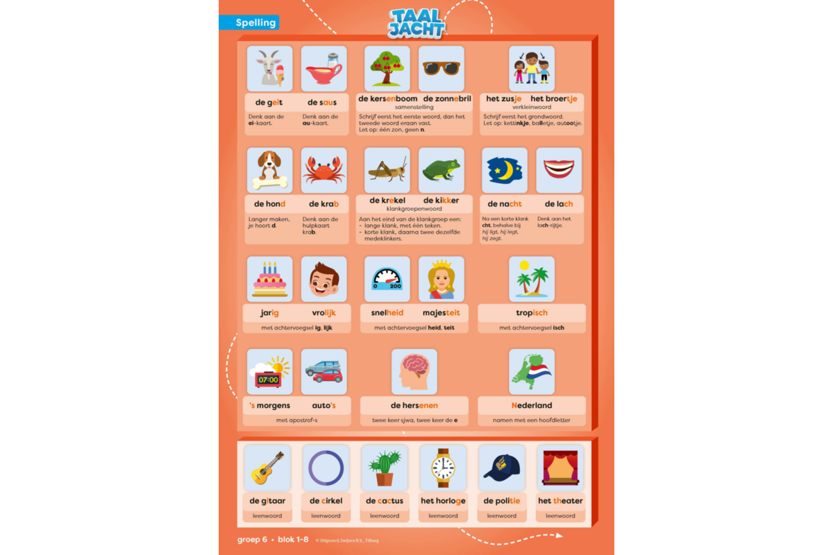 Taaljacht Spelling & grammatica groep 6 categoriekaarten (5 stuks)