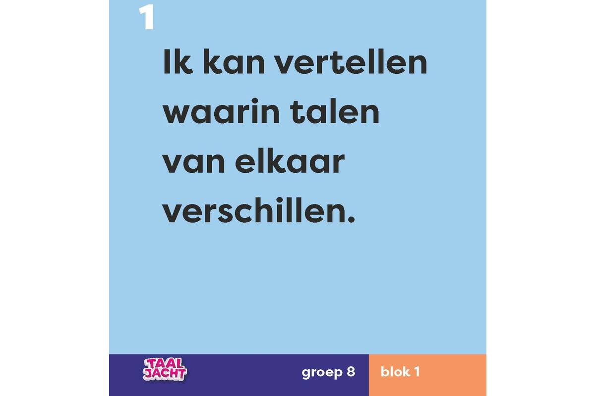 Taaljacht Taal groep 8 woordposters