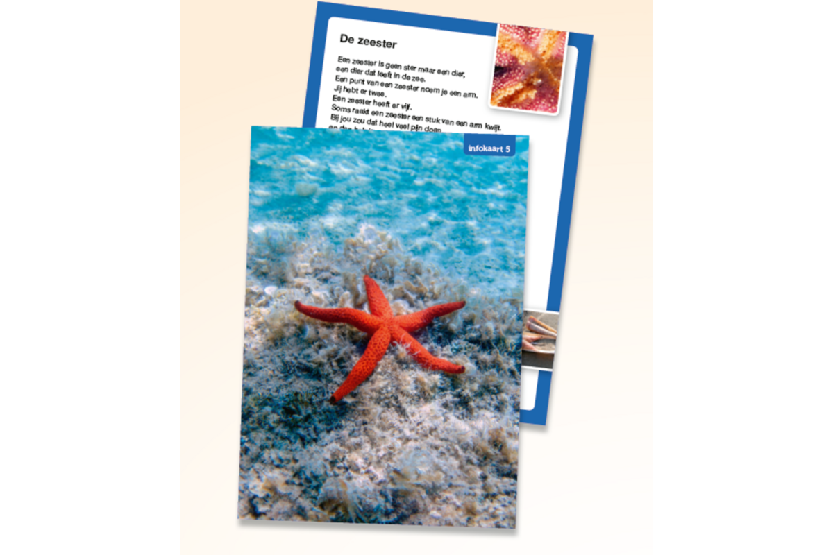 Veilig leren lezen Zoem infokaarten