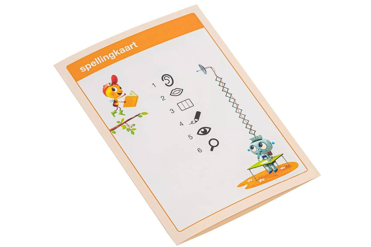 Veilig leren lezen Zoem spellingkaarten (30 stuks)