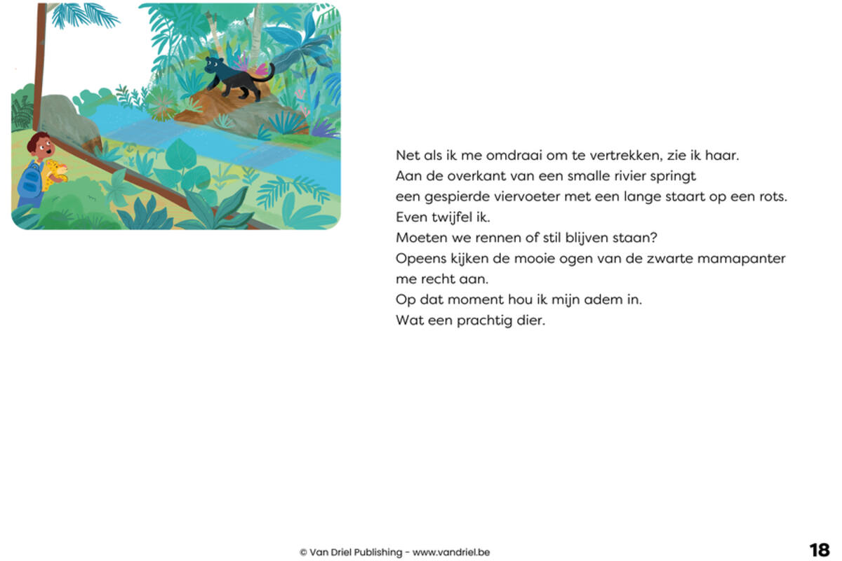 Ravi en de kleine panter - Kamishibai vertelplaten