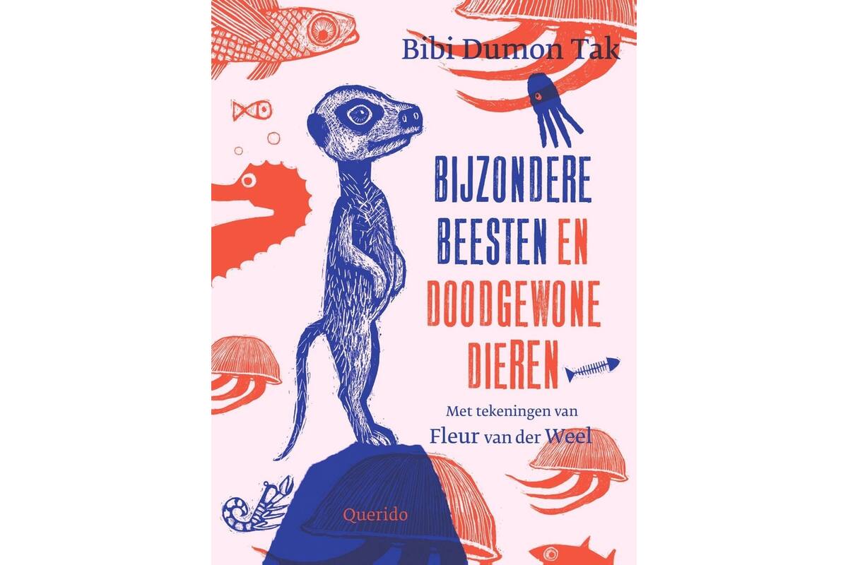 Bijzondere beesten en doodgewone dieren - Bibi Dumon Tak