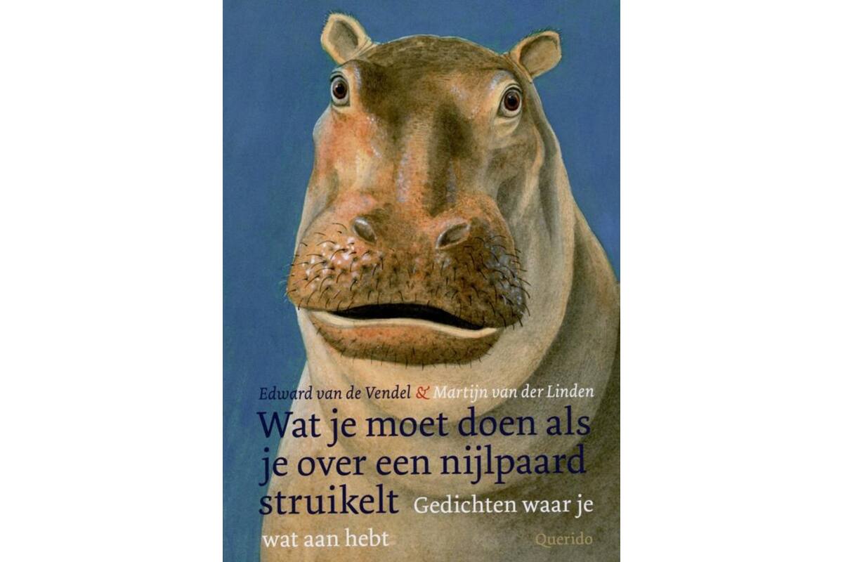 Wat je moet doen als je over een nijlpaard struikelt