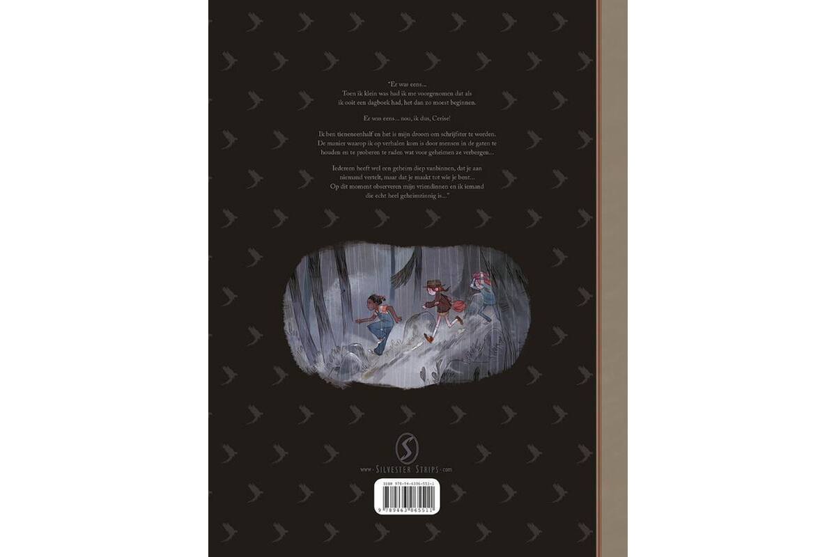 Het dagboek van Cerise: De stenen dierentuin - Joris Chamblain
