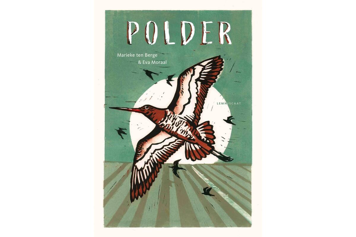 Polder - Eva Moraal