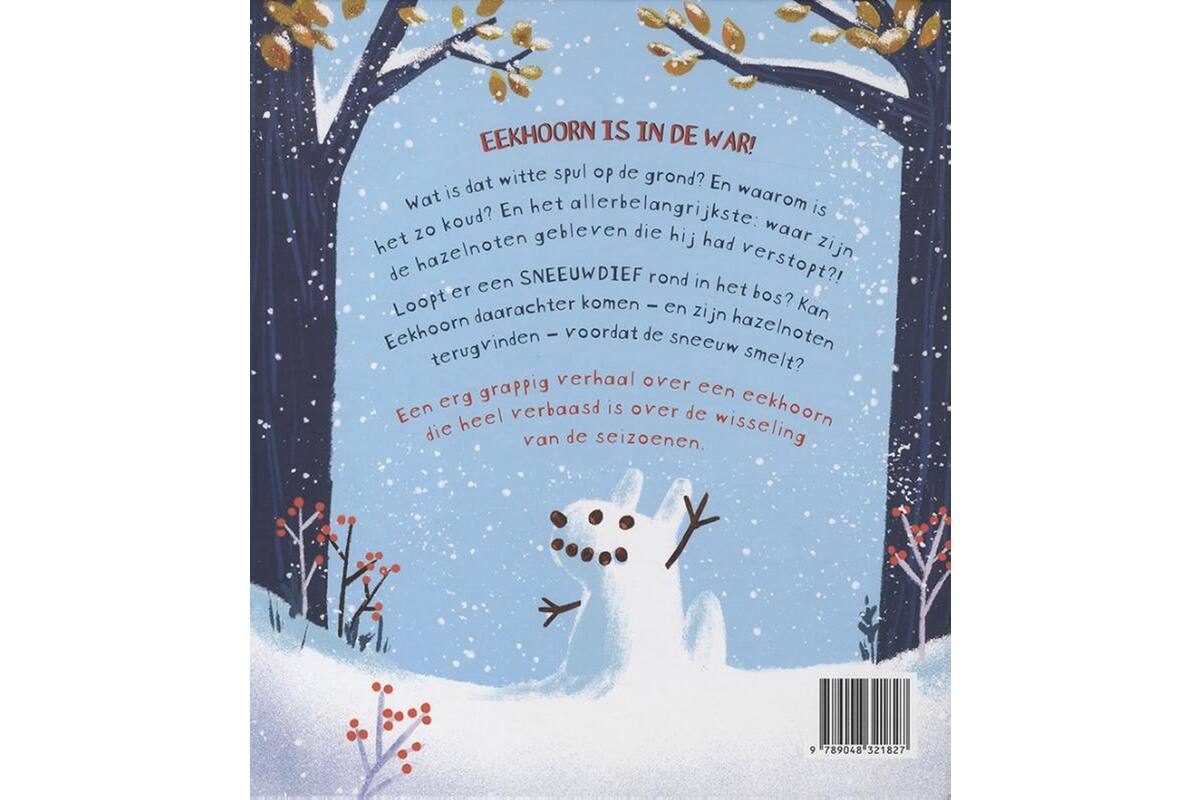 De sneeuwdief - Alice Hemming