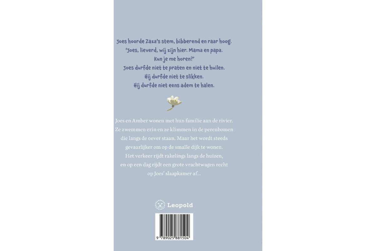 Het kleine huis bij de rivier - Selma Noort