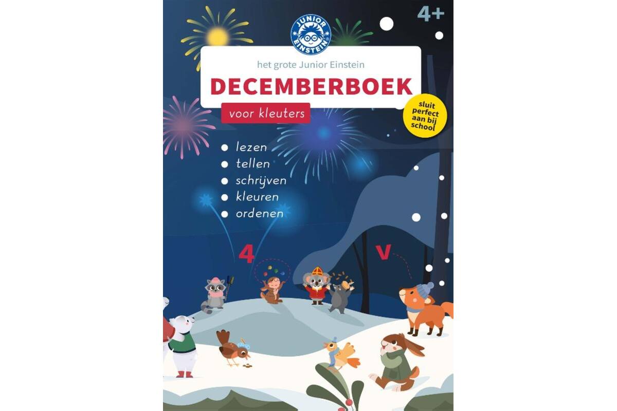 Het grote Junior Einstein Decemberboek voor kleuters