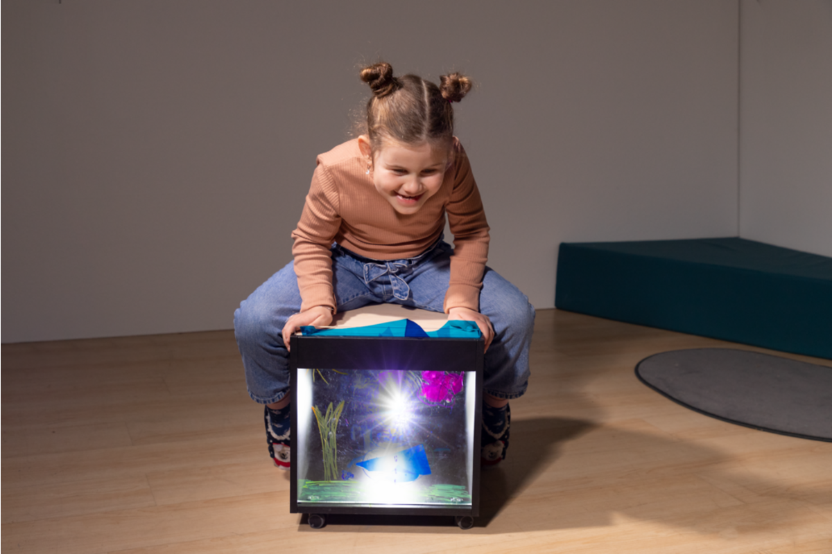 Projector