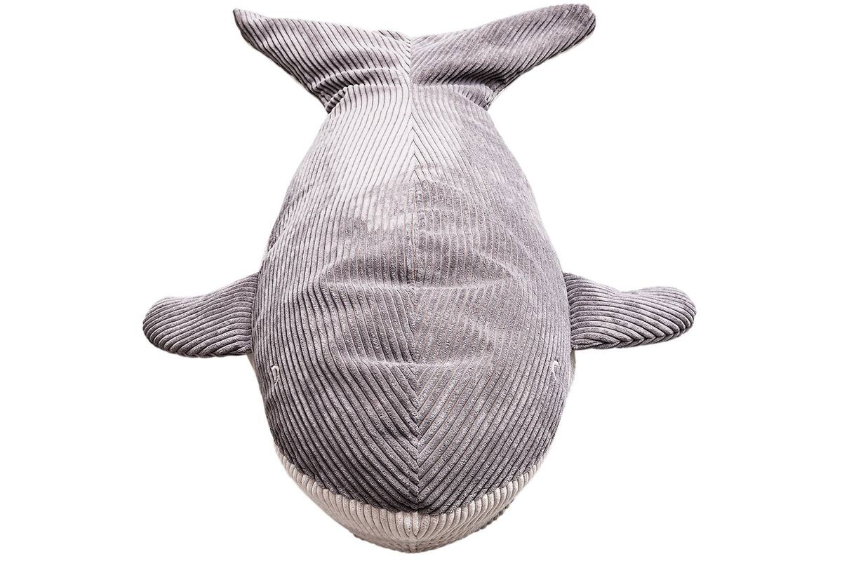 Zitzak walvis indoor