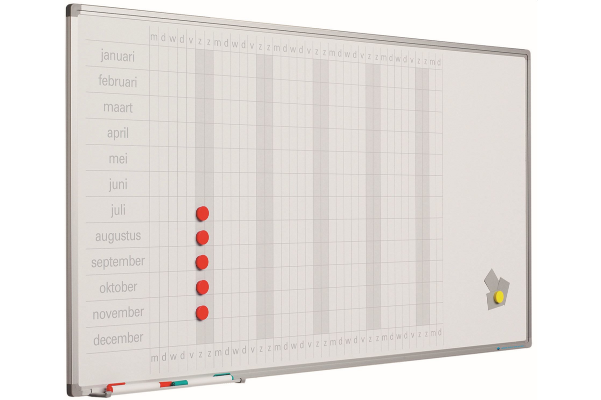 Jaarplanner softline 8mm , 60 x 120 cm