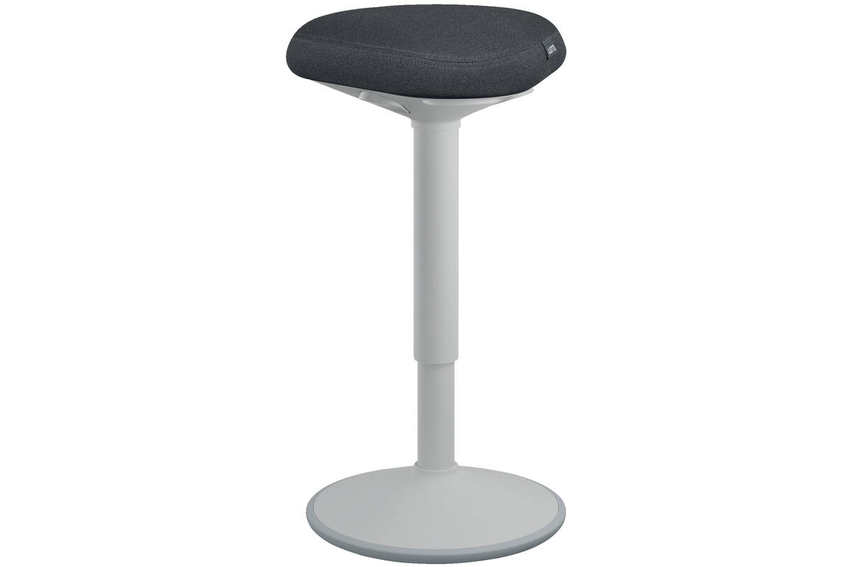 Leitz Ergo Wiebelkruk met Gasveer (57 - 82 cm) Lichtgrijs
