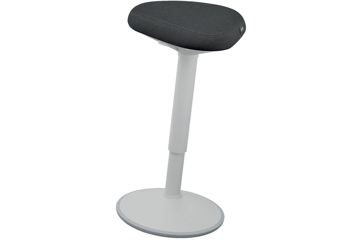 Leitz Ergo Wiebelkruk met Gasveer (57 - 82 cm) Lichtgrijs