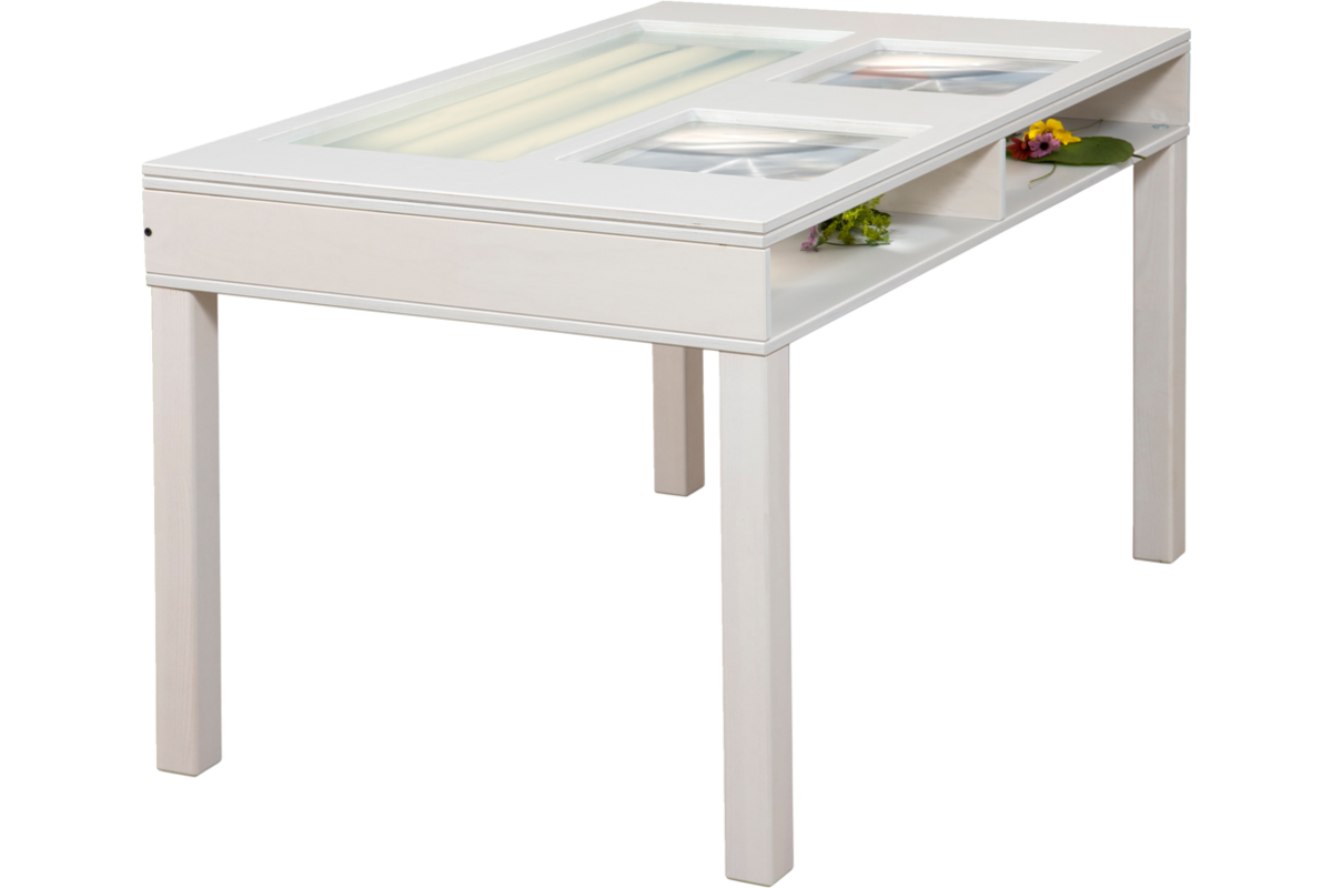 Ontdektafel binnen met 2 vergrootglazen en lichtbak B125xD75xH73 cm, (excl. Montage)