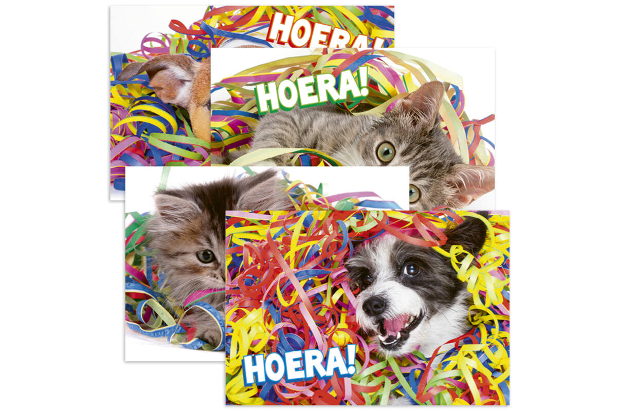 Miniposters 1048 confettidieren, 4 motieven, 20 stuks