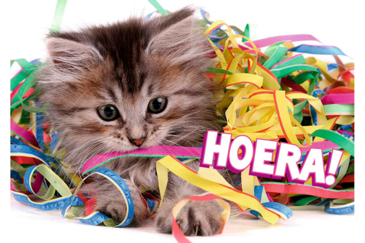 Miniposters 1048 confettidieren, 4 motieven, 20 stuks