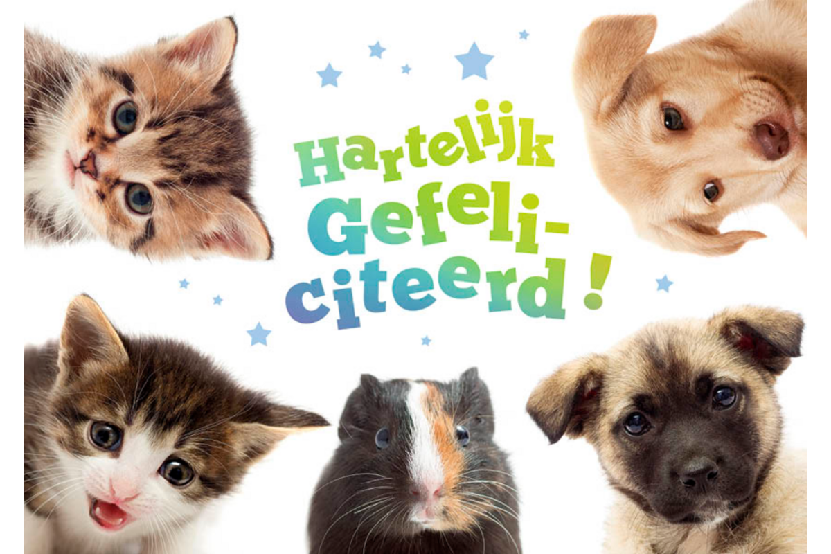 Miniposters 1049 dierenvrienden, 2 motieven, 20 stuks