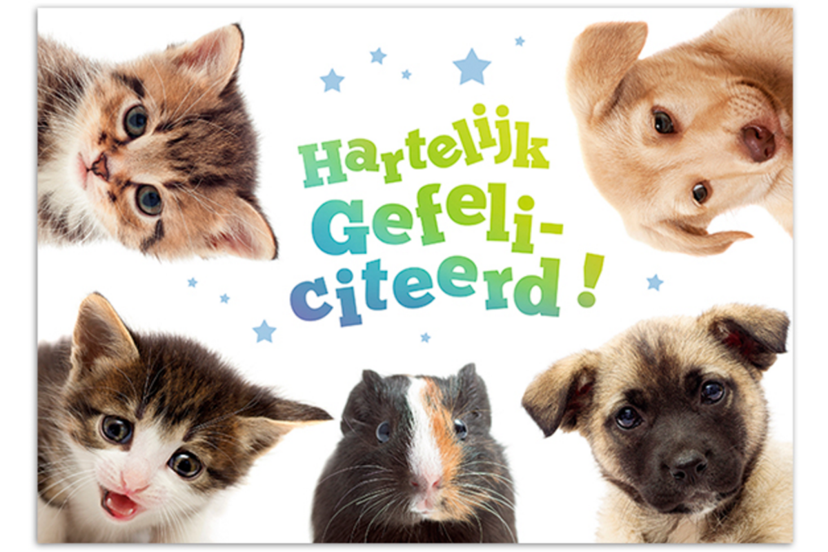 Miniposters 1049 dierenvrienden, 2 motieven, 20 stuks
