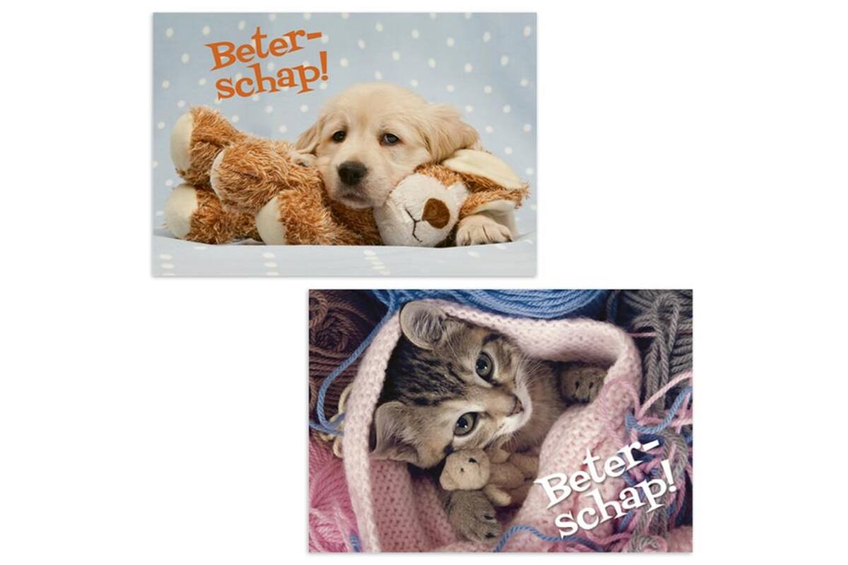 Miniposters 1054 beterschap, 2 motieven, 20 stuks