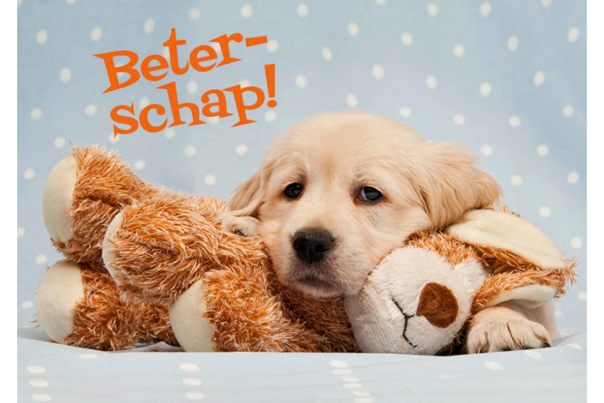 Miniposters 1054 beterschap, 2 motieven, 20 stuks