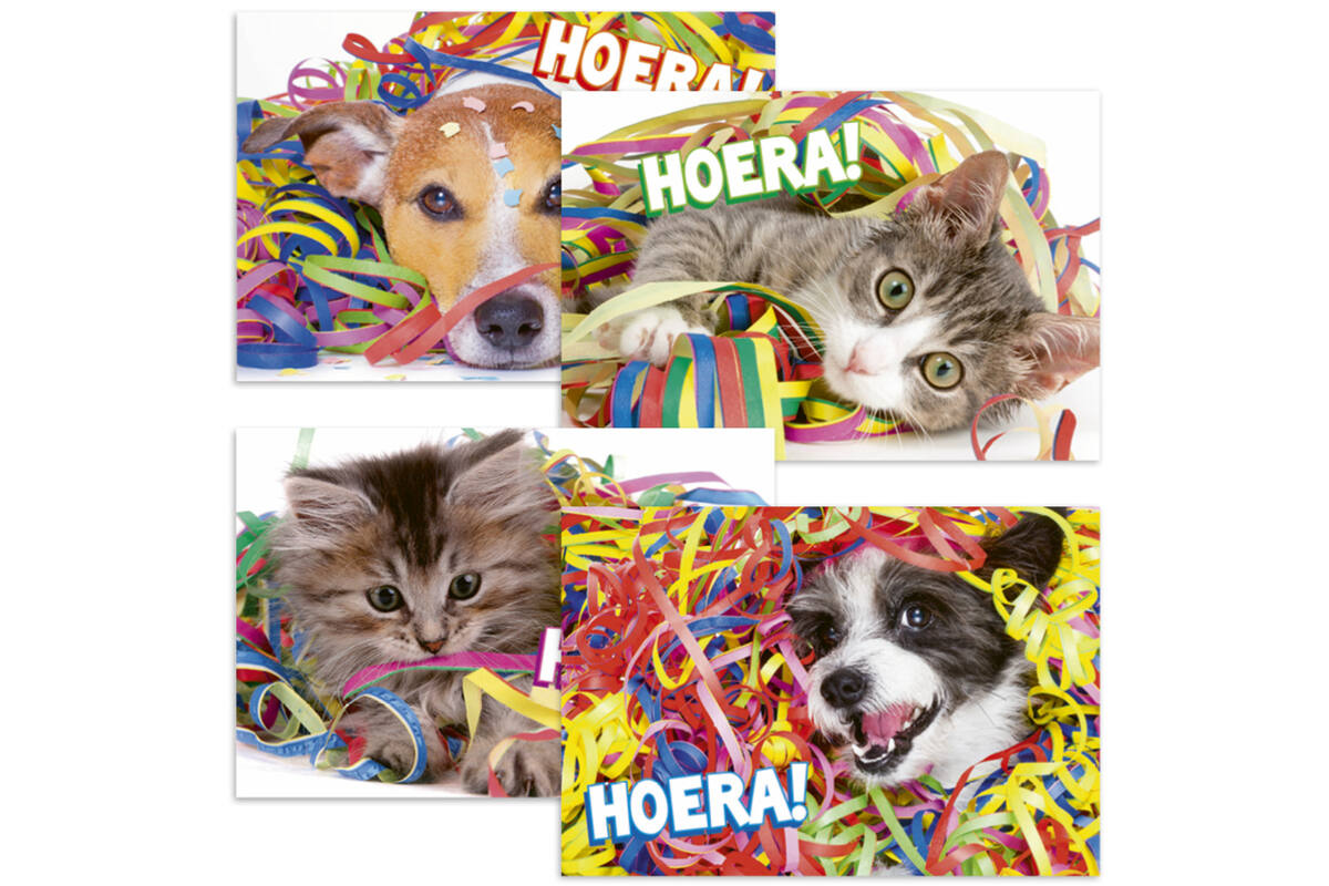 Ansichtkaarten 5747 confettidieren, 4 motieven, 48 stuks