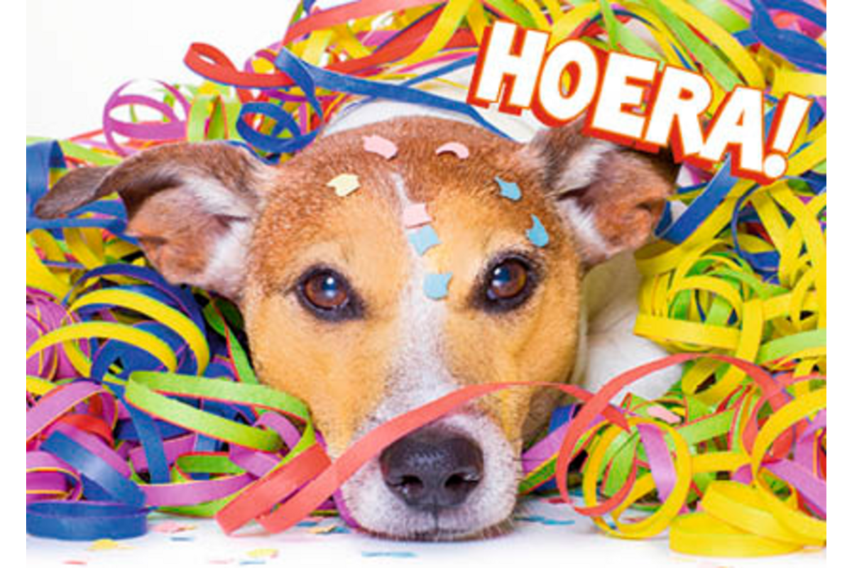 Ansichtkaarten 5747 confettidieren, 4 motieven, 48 stuks