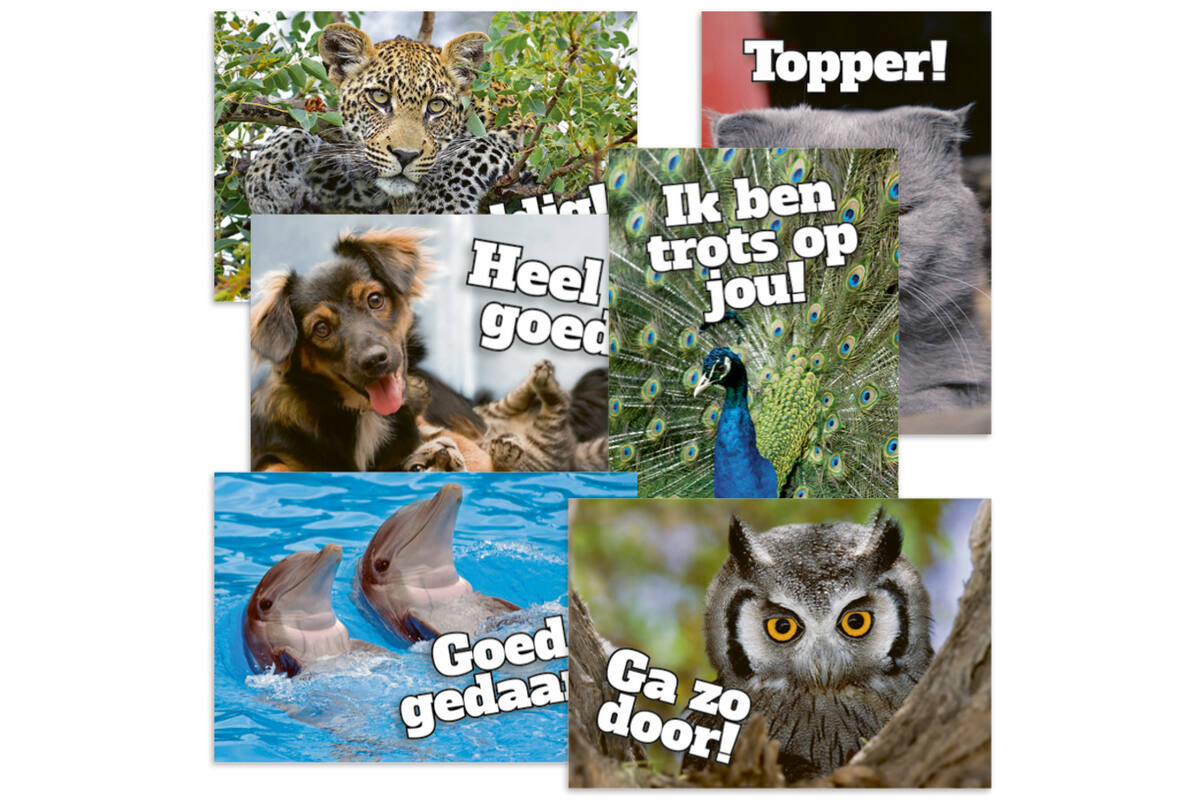 Beloningskaarten Motivatiedieren 4567, 6 motieven, 96 stuks