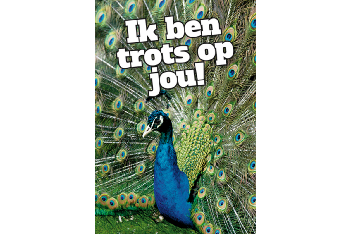 Beloningskaarten Motivatiedieren 4567, 6 motieven, 96 stuks