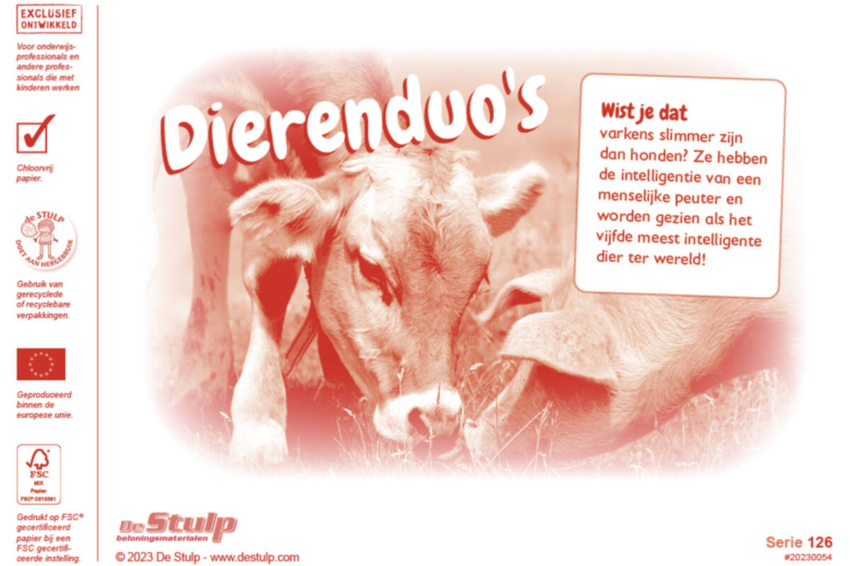 Beloningsstickers 126 Dierenduo's  Zuid Afrika 30 motieven, 600 stickers