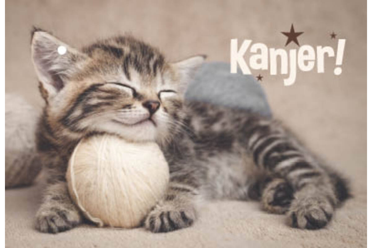 Beloningskaarten spelende poezen kanjer 4626 4 motieven, 96 kaarten