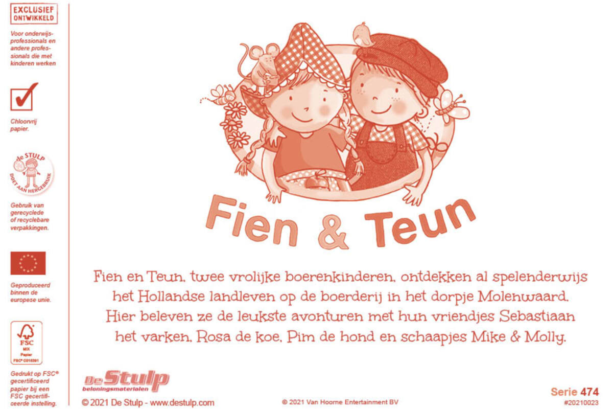 Miniposters Fien en Teun 1078 2 motieven, 20 stuks