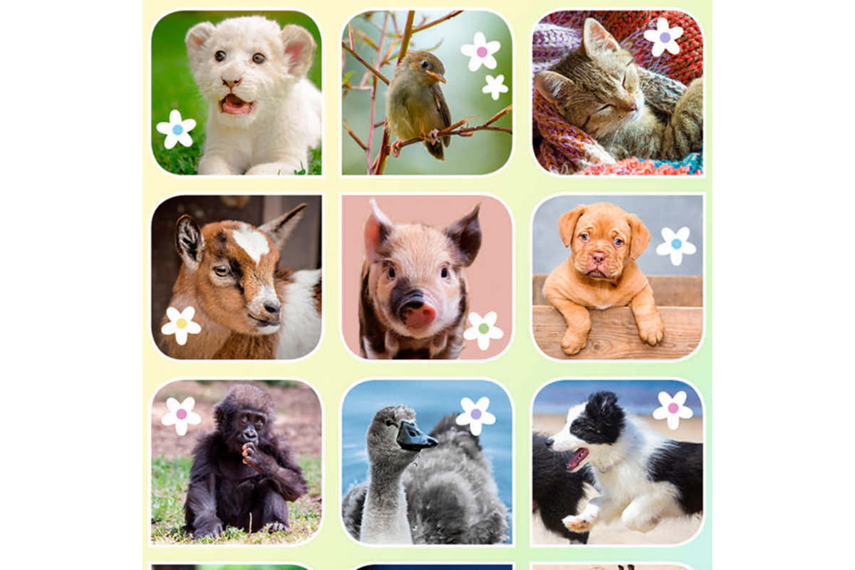 Beloningsstickers 462 Lieve Lentediertjes, 35 motieven, 700 stuks