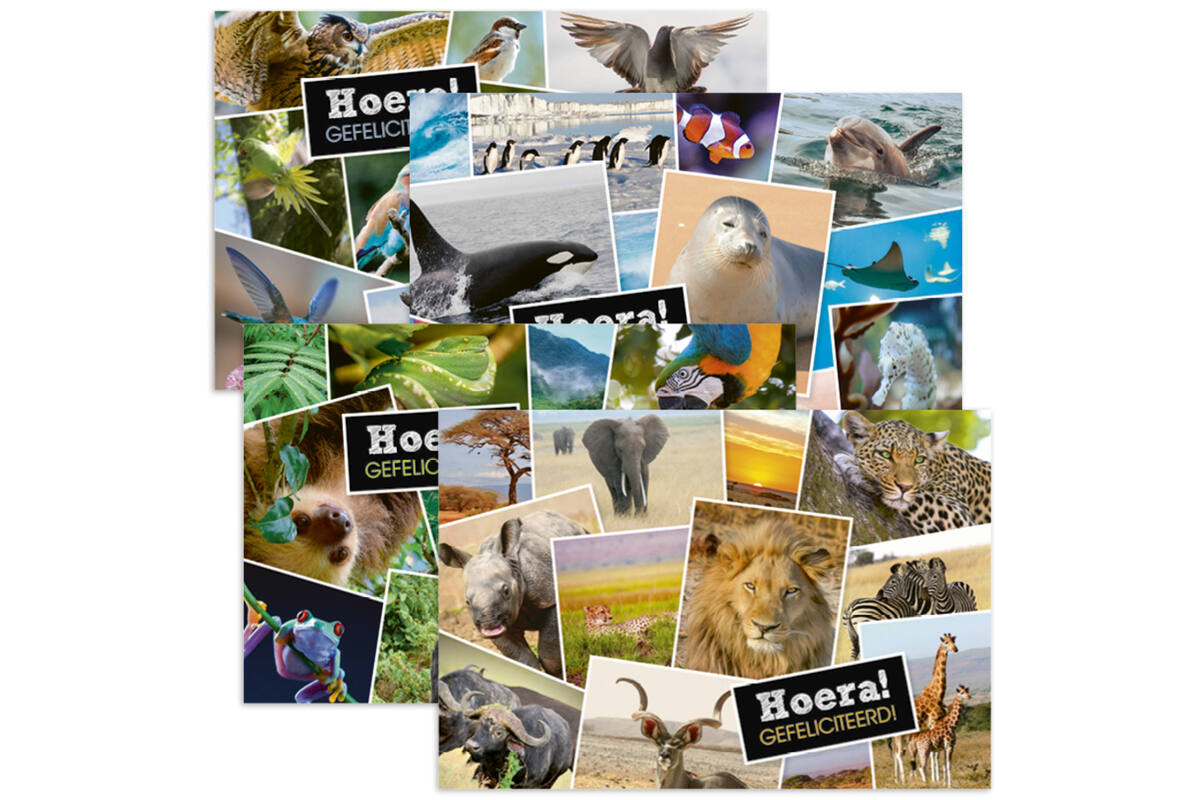 Miniposters 1071 Dieren in Kaders, 4 motieven, 20 stuks