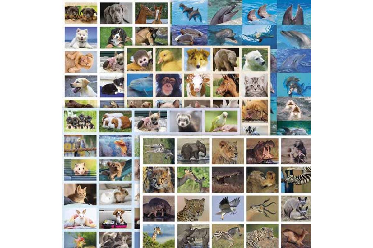 Beloningsstickers snelbestelpakket Dieren 8001, 180-200 mot. 4000 st.