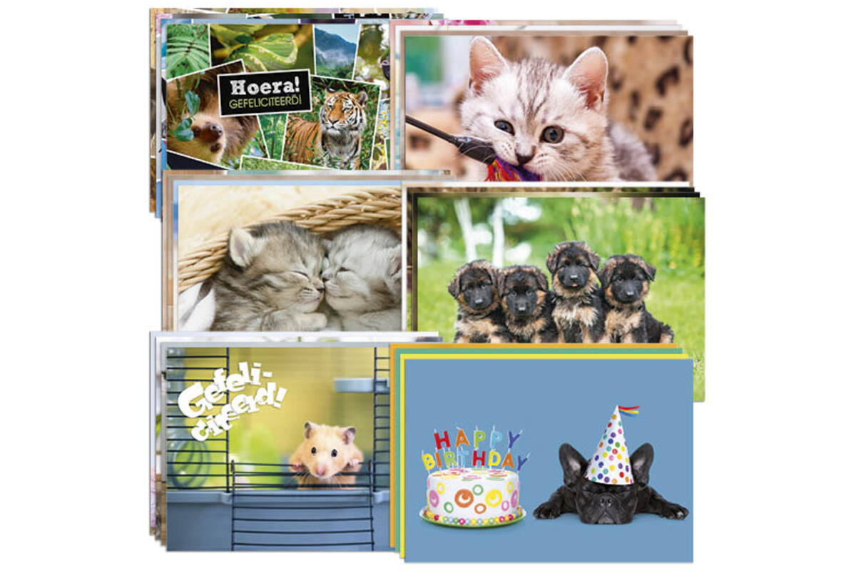 Miniposters snelbestelpakket Dieren 8101,12 mot. 120 st.