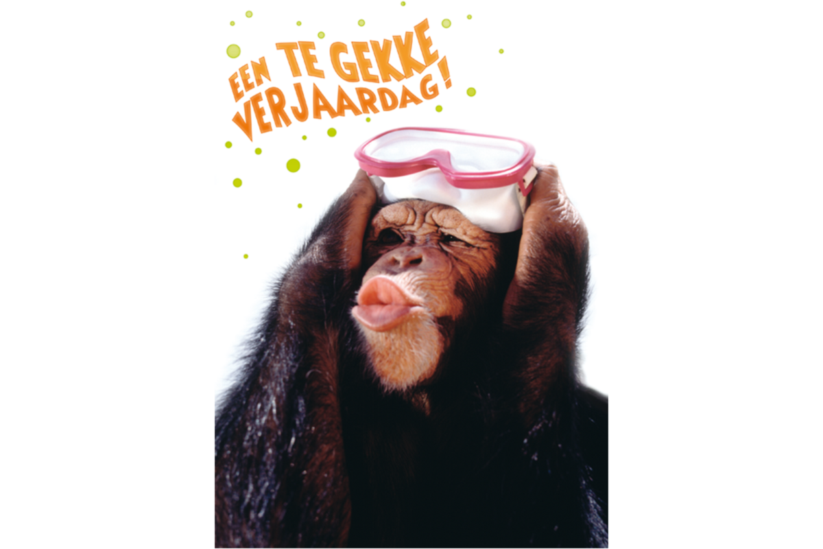 Miniposters Grappige Dieren 991 4 motieven, 20 stuks