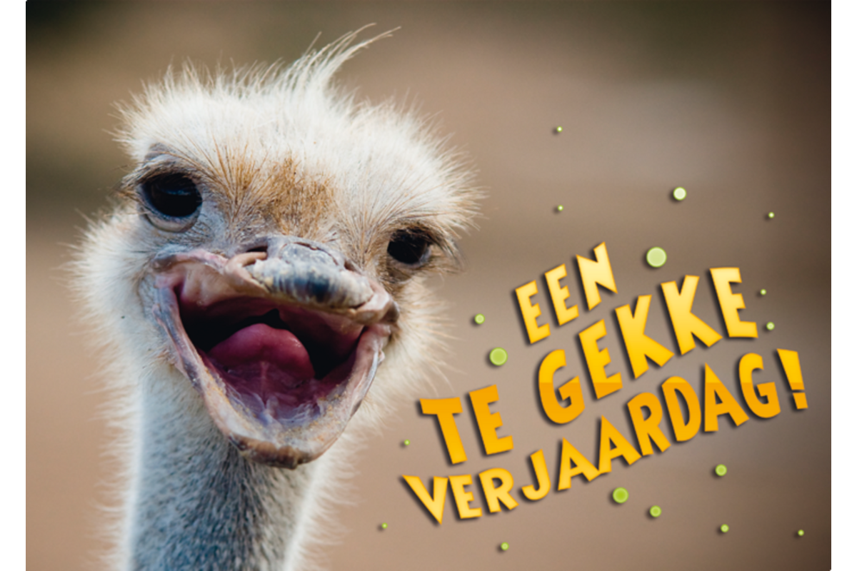 Miniposters Grappige Dieren 991 4 motieven, 20 stuks