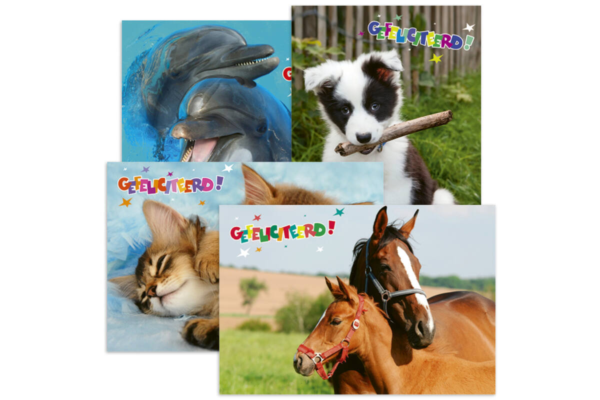 Miniposters Dieren gefelciteerd 994 4 motieven, 20 stuks