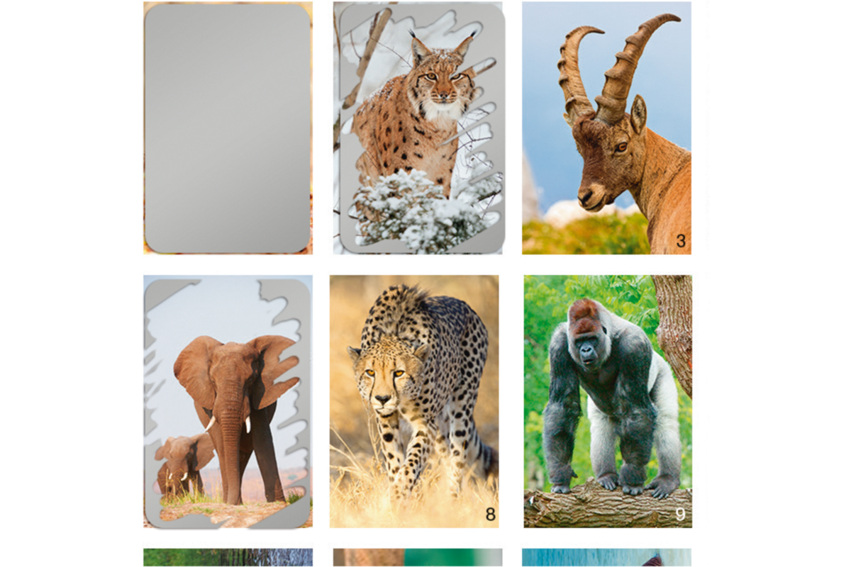 Krasstickers Werelddieren 646 36 motieven, 540 stuks